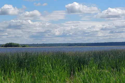 Williamson Provincial Park and Campground