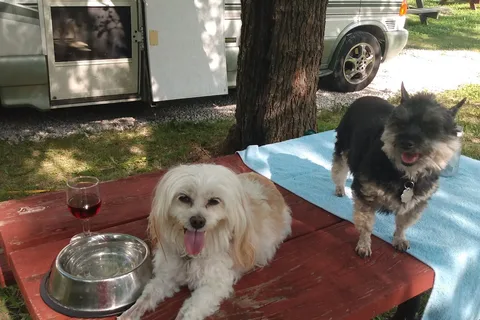 Hickory Ridge Campground LLC