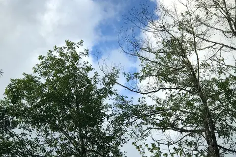 Kid Valley Campground