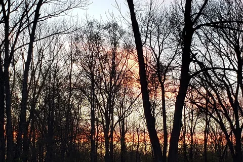 Homestead Family Campgrounds