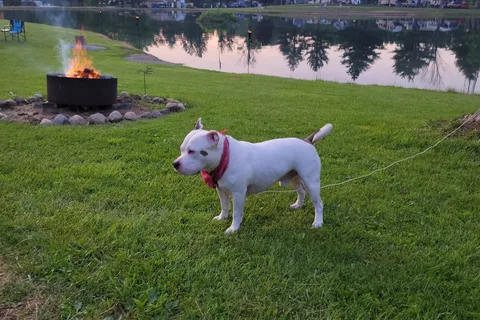 Chatham Lakes Campground