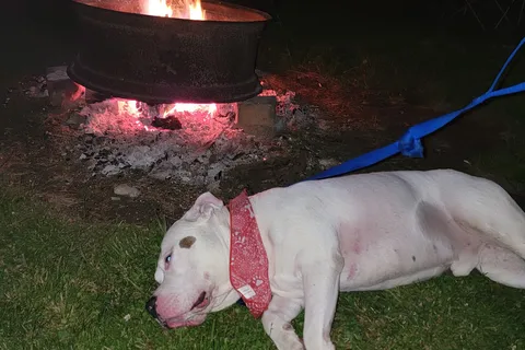 Chatham Lakes Campground