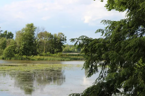 Calhoun Campground