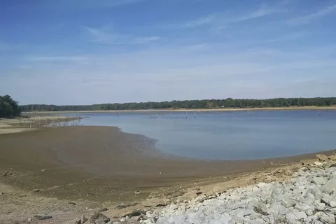Lake Poinsett State Park