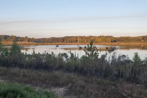 Lake Poinsett State Park