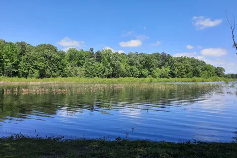 Lake Poinsett State Park
