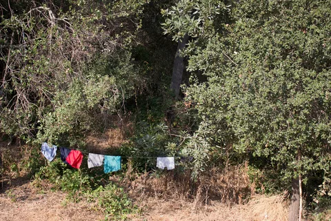 Malibu Creek State Park - Family Camp