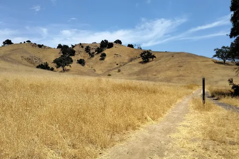 Malibu Creek State Park - Family Camp