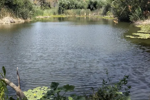 Malibu Creek State Park - Family Camp