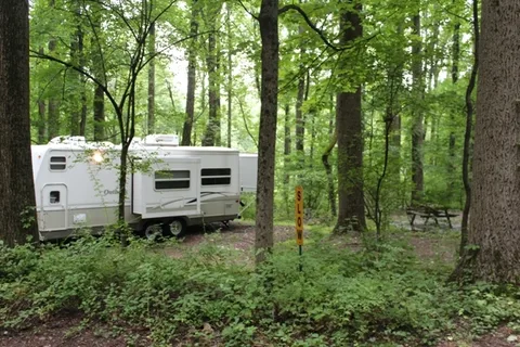 Mountainview Campground