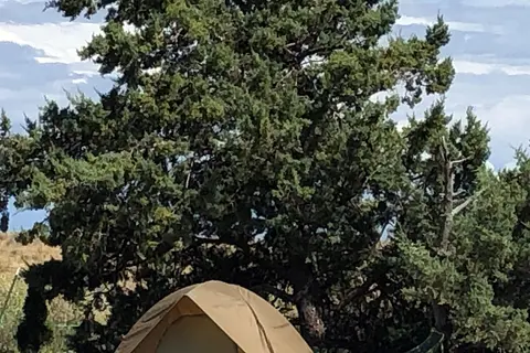 Seligman / Route 66 KOA Journey