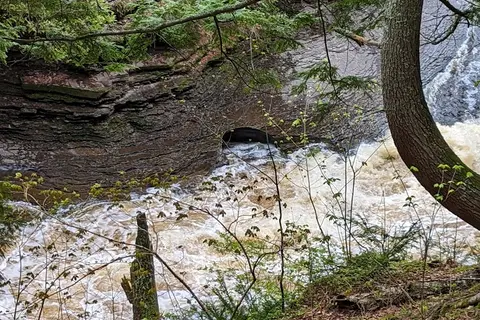 White Pine Extension - Porcupine Mountains State Park