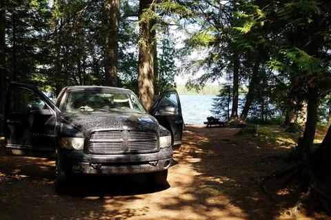 Canoe Lake State Forest
