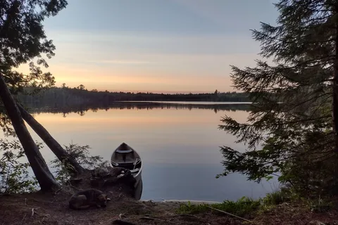 Canoe Lake State Forest