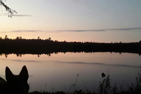 Canoe Lake State Forest