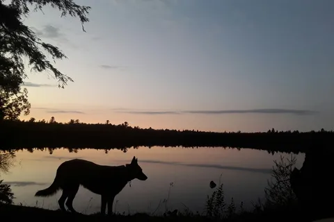 Canoe Lake State Forest