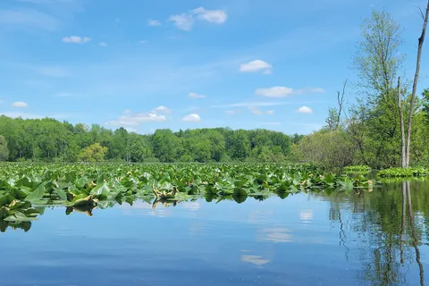 Chain O Lakes State Park