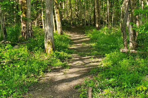 Chain O Lakes State Park