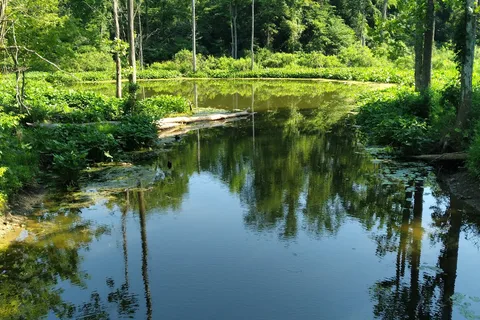 Chain O Lakes State Park