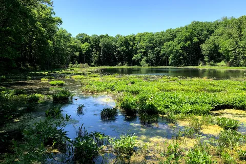 Chain O Lakes State Park