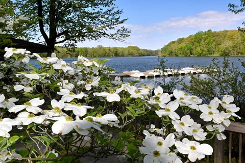 Chain O Lakes State Park