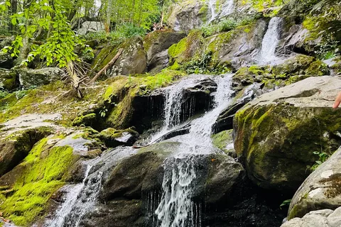 Parc national de Shenandoah