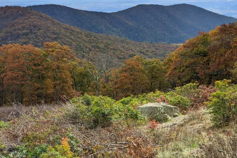 Parc national de Shenandoah