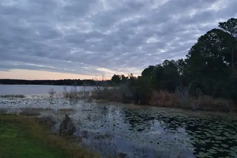 Mill Dam Lake Resort
