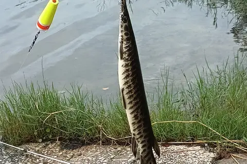 Mill Dam Lake Resort