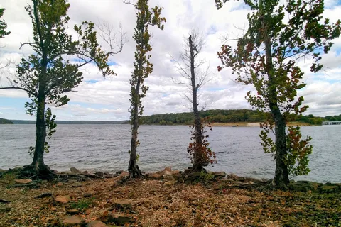 Fox/Squirrel RV Park