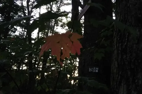 Owls Landing Campground
