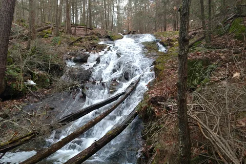 Housatonic Meadows State Park