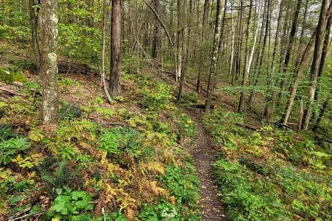 Housatonic Meadows State Park