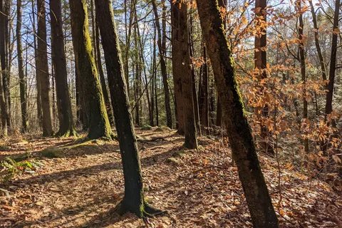 Housatonic Meadows State Park
