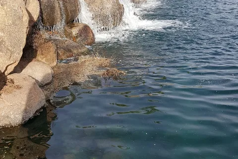 Val Vista RV Resort