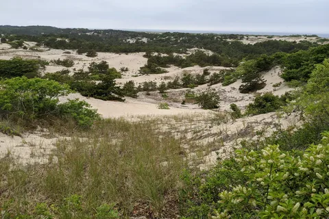 Dunes' Edge Campground