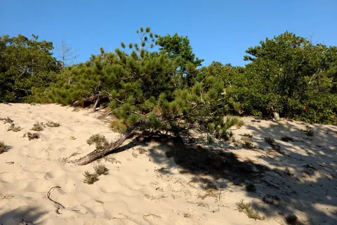 Dunes' Edge Campground