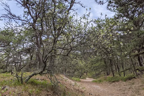 Dunes' Edge Campground