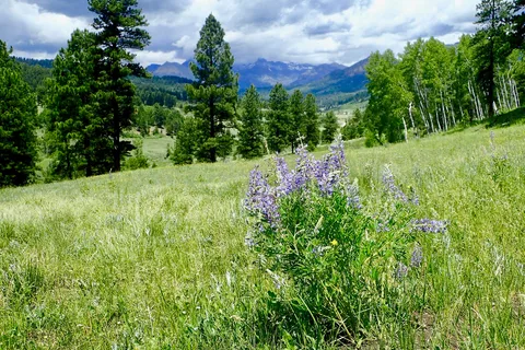 Sportmans Supply Campground and Cabins