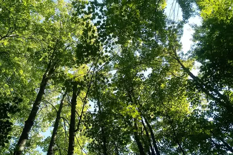Pymatuning State Park Campground