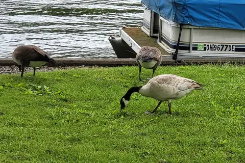 Pymatuning State Park Campground
