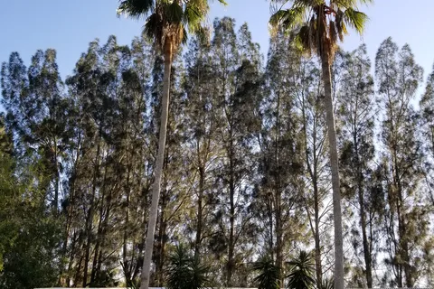 River Ranch Resort RV Park