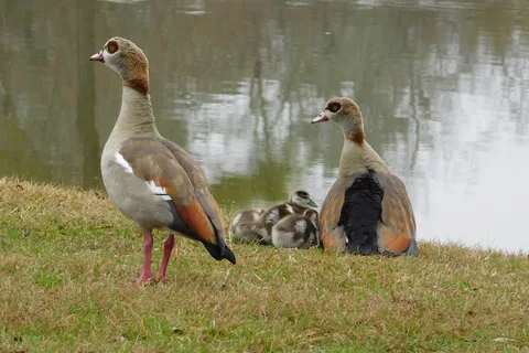 Woodland Lakes RV Park