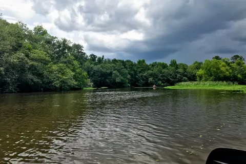 Reed Bingham State Park