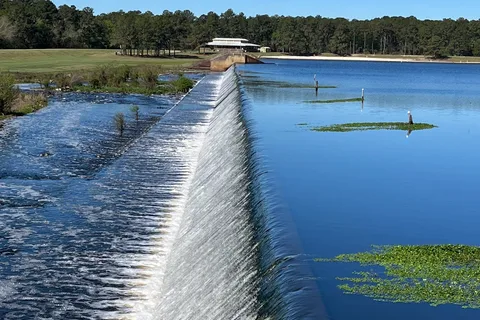 Reed Bingham State Park