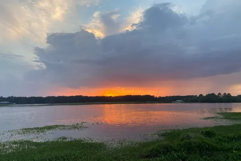Reed Bingham State Park