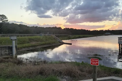 Reed Bingham State Park