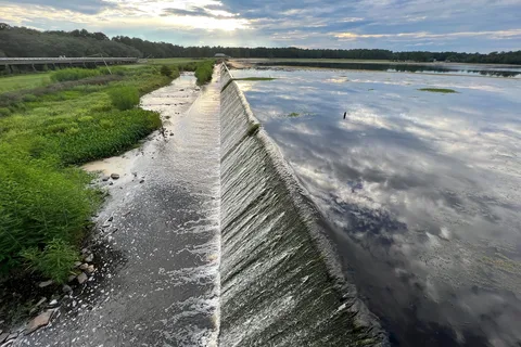 Reed Bingham State Park