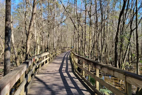 Reed Bingham State Park