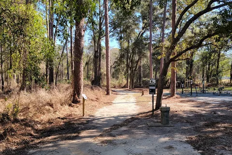 Reed Bingham State Park